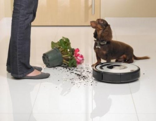 ¿Merece la pena un Roomba si tengo mascotas?